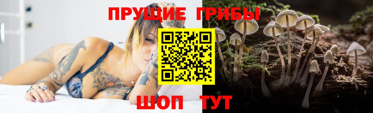 Галлюциногенные грибы Psilocybe  Вход с VPN  Лосино-Петровский  Псилоцибиновые грибы Cubensis 