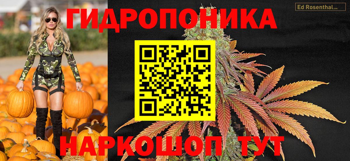 Шишки марихуана конопля Лосино-Петровский